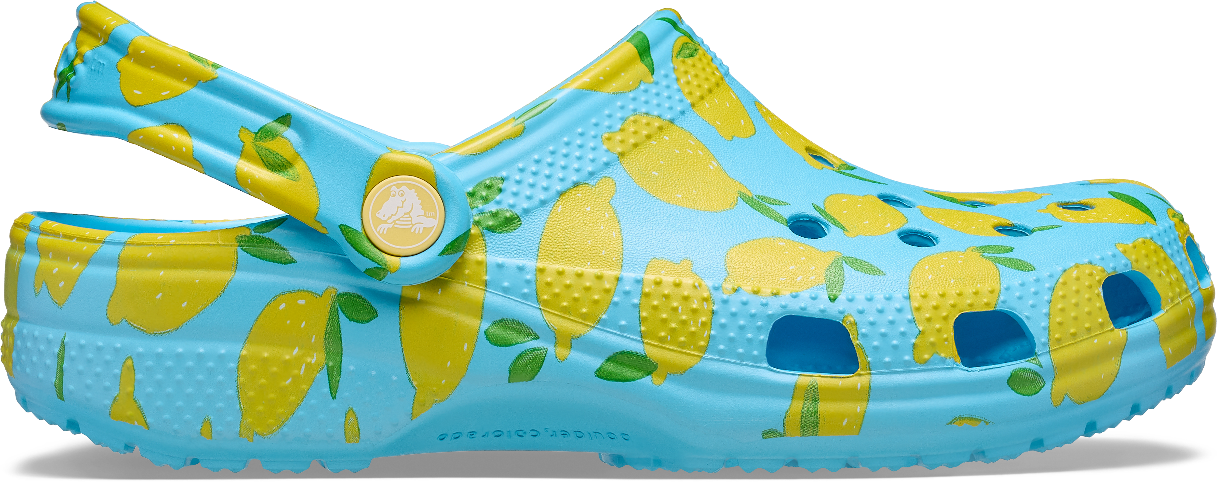 Classic Fresh Fruits Clogs - Tinted Glass